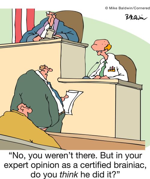 'No, you weren't there. But in your expert opinion as a certified brainiac, do you think he did it?'