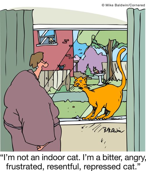 'I'm not an indoor cat. I'm a bitter, angry, frustrated, resentful, repressed cat.'