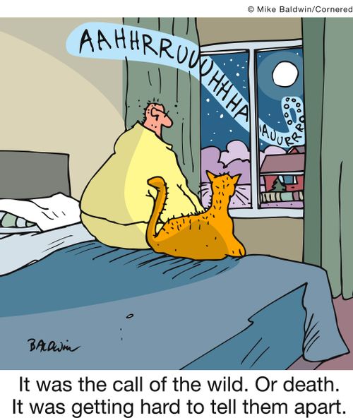 It was the call of the wild. Or death. It was getting hard to tell them apart.
