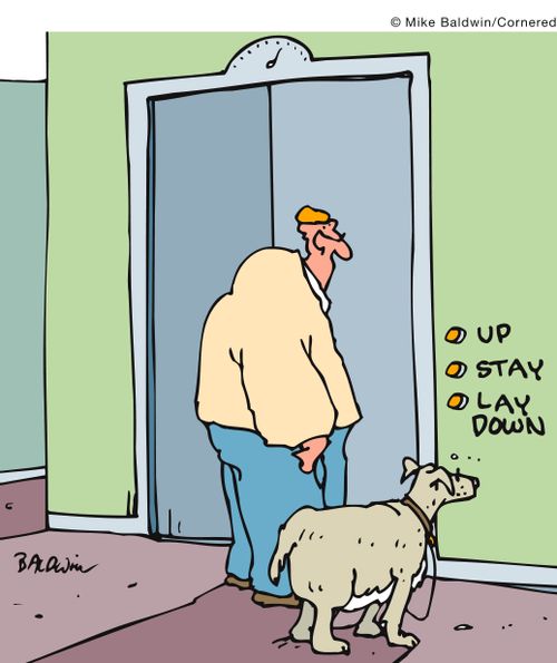 Elevator: Up, Stay, and Lay Down.