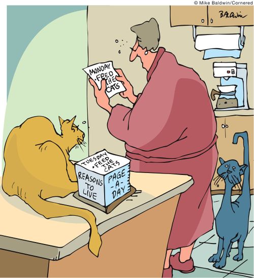 Page-a-day calendar. . . Reasons to live - Feed the cats...