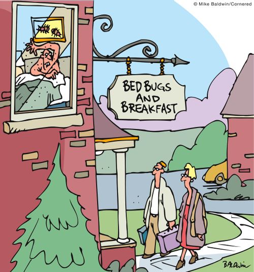 Bedbugs and Breakfast.