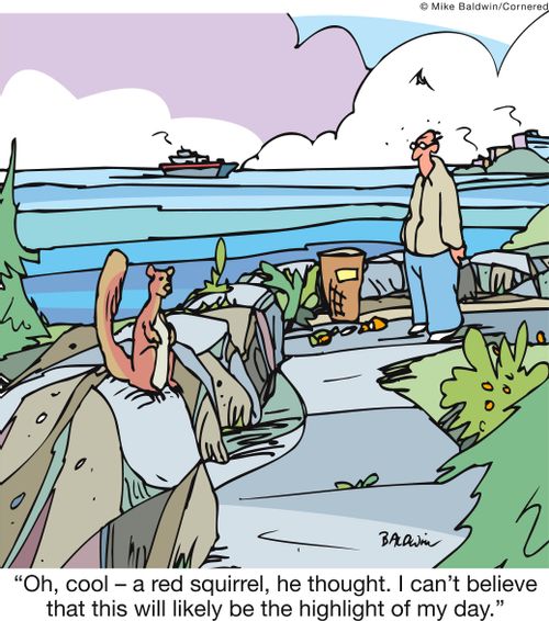 'Oh, cool - a red squirrel, he thought. I can't believe that this will likely be the highlight of my day.'