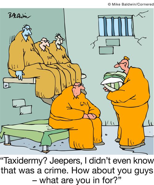 'Taxidermy? Jeepers, I didn't even know that was a crime. How about you guys - what are you in for?'