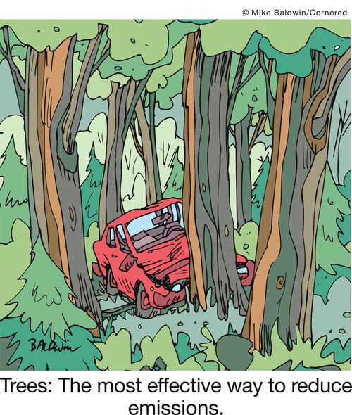 Trees: The most effective way to reduce emissions.
