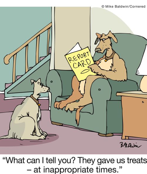 'What can I tell you? They gave us treats - at inappropriate times.'