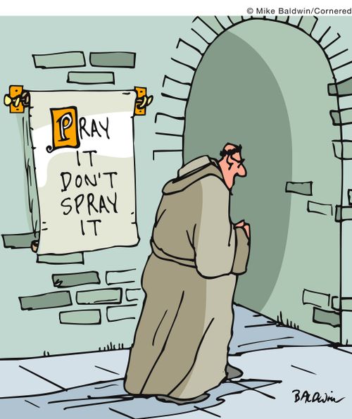 Pray it Don't Spry it.