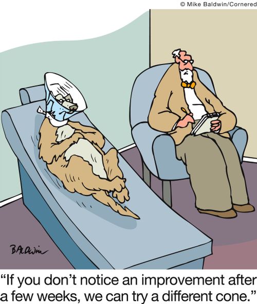 'If you don't notice an improvement after a few weeks, we can try a different cone.'