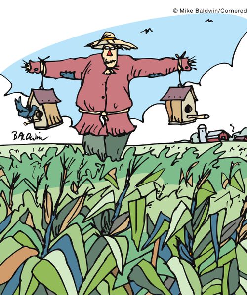 Scarecrow for hanging bird houses