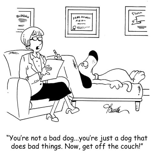 'You're not a bad dog...you're just a dog that does bad things. Now, get off the couch!'