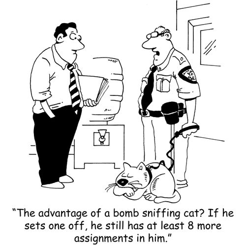 'The advantage of a bomb sniffing cat? If he sets one off, he still has at least 8 more assignments in him.'