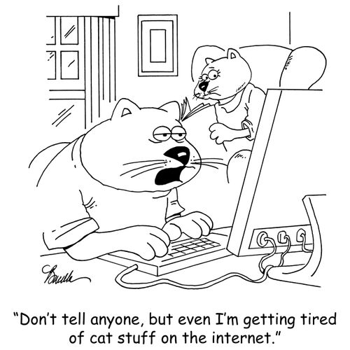 'Don't tell anyone, but even I'm getting tired of cat stuff on the internet.'