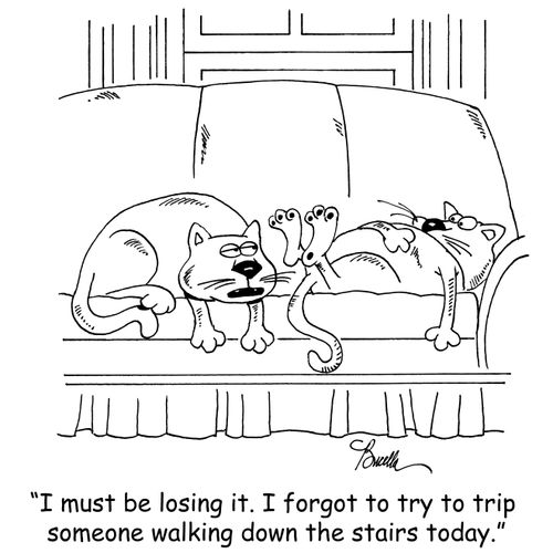 'I must be losing it. I forgot to try to trip someone walking down the stairs today.'