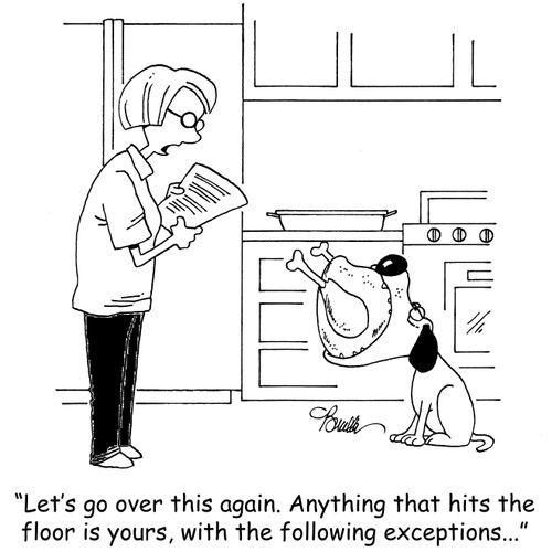 'Let's go over this again. Anything that hits the floor is yours, with the following exceptions...'