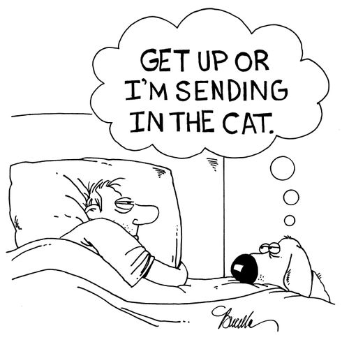 'Get up or I'm sending in the cat.'