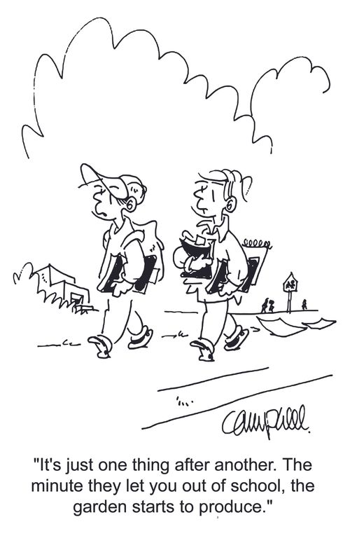 'It's just one thing after another. The minute they let you out of school, the garden starts to produce.'