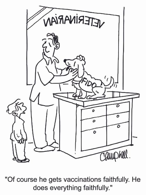 'Of course he gets vaccinations faithfully. He does everything faithfully.'
