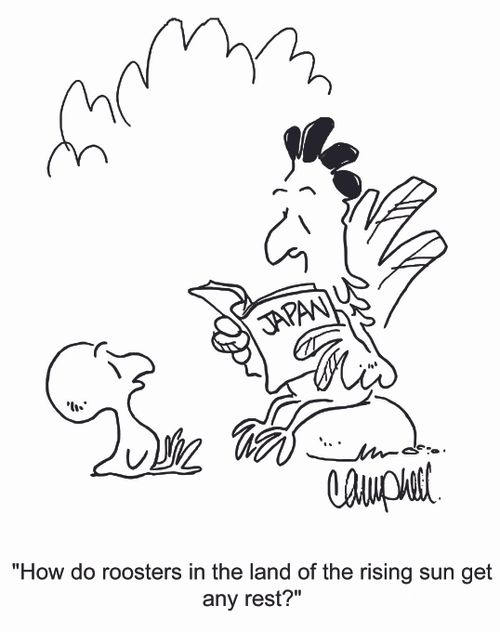 'How do roosters in the land of the rising sun get any rest?'