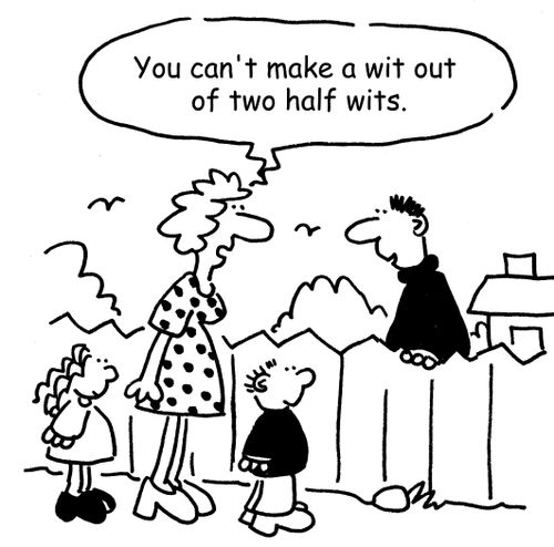 'You can't make a wit out of two half wits.'