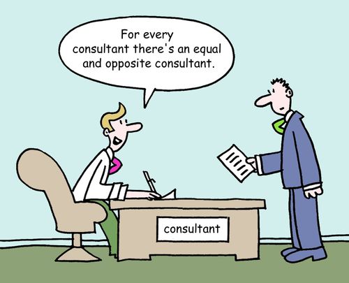 'For every consultant there's an equal and opposite consultant.'