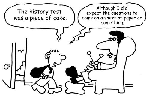 'The history test was a piece of cake. Although I did expect the questions to come on a sheet of paper or something.'