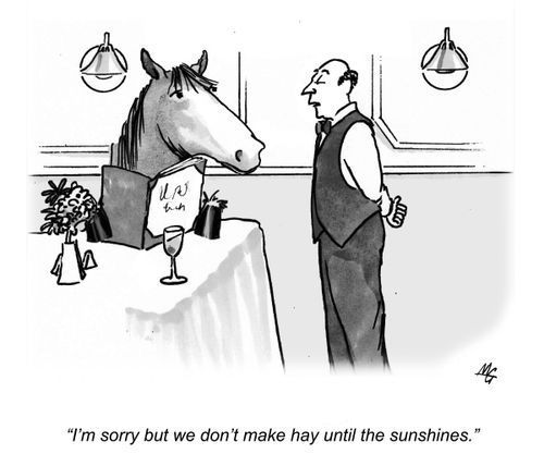 'I'm sorry but we don't make hay until the sun shines.'
