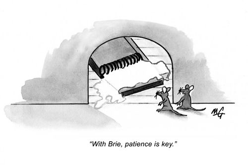 'With Brie, patience is key.'