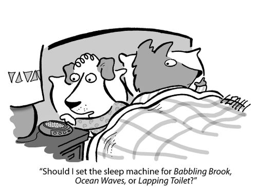 'Should I set the sleep machine for Babbling Brook, Ocean Waves, or Lapping Toilet?'