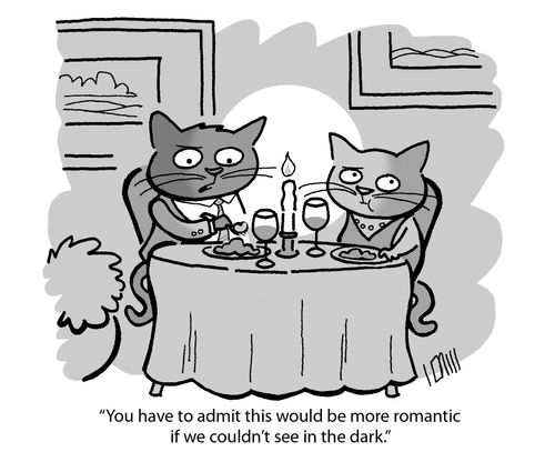'You have to admit this would be more romantic if we couldn't see in the dark.'