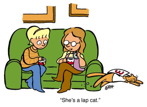 'She's a lap cat.'
