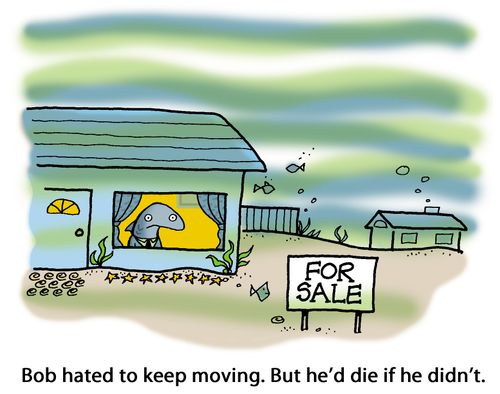 Bob hated to keep moving. But he'd die if he didn't.
