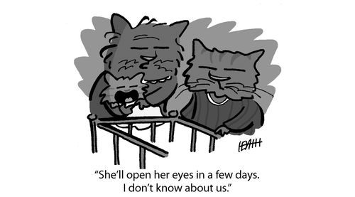 'She'll open her eyes in a few days. I don't know about us.'