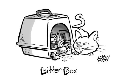 Litter Box with actual litter.