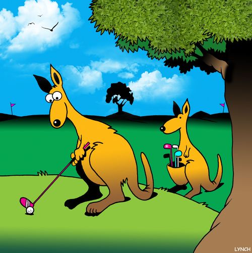 Kangaroo Caddy.