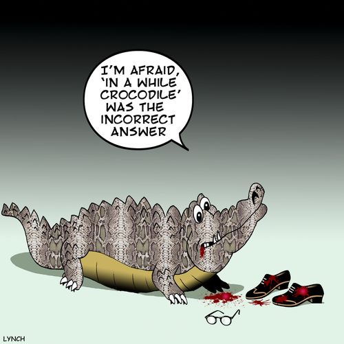 'I'm afraid, 'in a while crocodile' was the incorrect answer.'