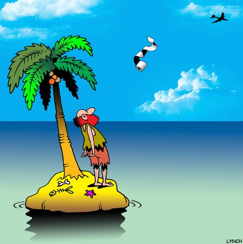 Plane drops toilet tissue to a castaway.