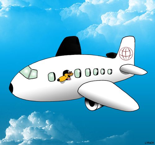 Dog on a plane.