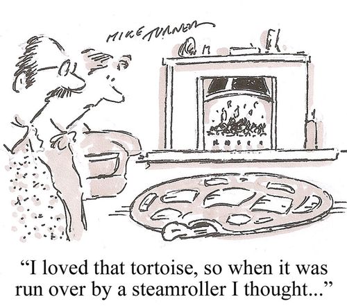 'I loved that tortoise, so when it was run over by a steamroller...'