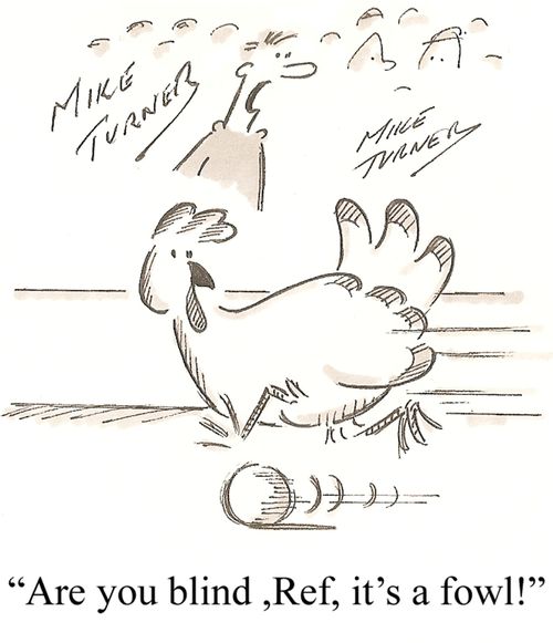 'Are you blind, Ref, it's a fowl!'