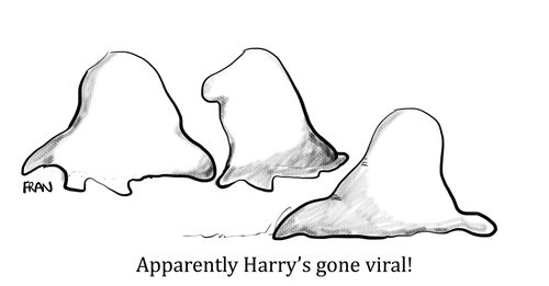 "Apparently Harry is gone viral!"
