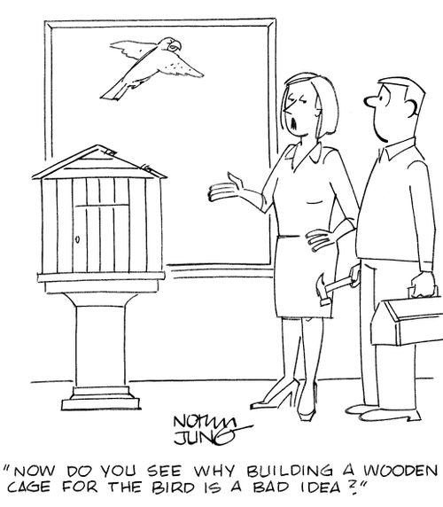 'Now do you see why building a wooden cage for the bird is a bad idea?'
