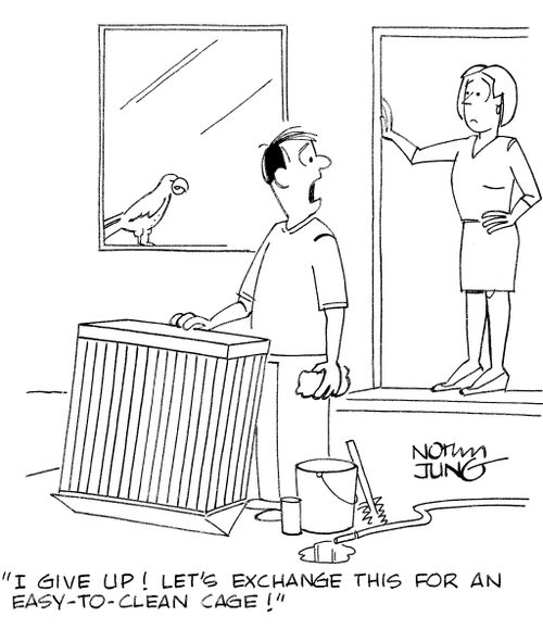 'I give up! Let's exchange this for an easy-to-clean cage!'