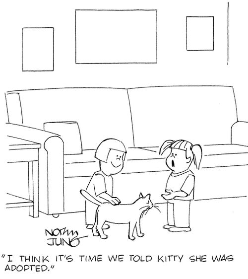 'I think it's time we told kitty she was adopted.'