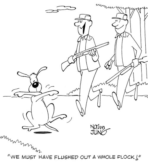 'We must have flushed out a whole flock!'