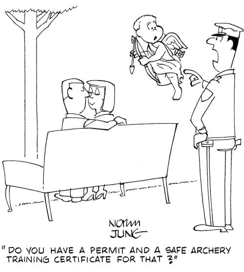 'Do you have a permit and safe archery training certificate for that?'