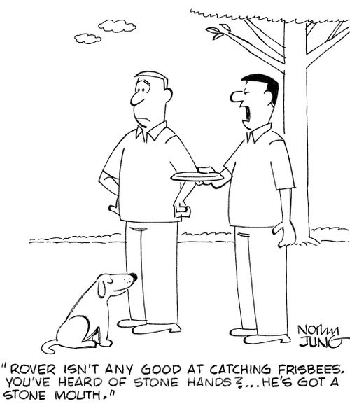 'Rover isn't any good at catching frisbees. You've heard of stone hands?...he's got a stone mouth.'