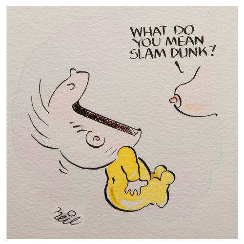'What do you mean, slam dunk??'