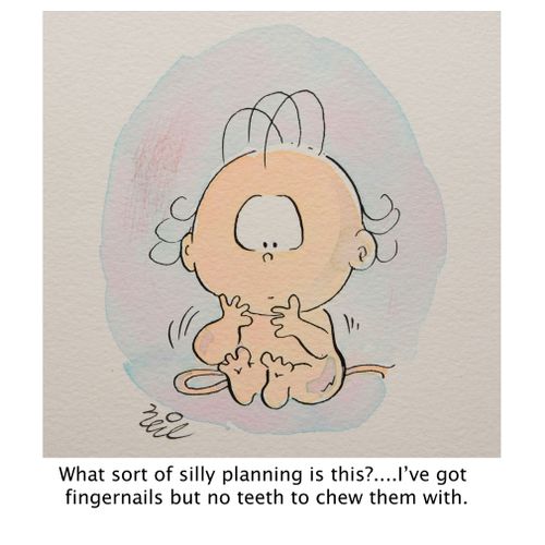 'What sort of silly planning is this?...I've got fingernails but no teeth to chew them with.'