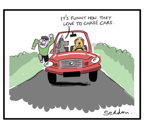 "It's funny how they love to chase cars."