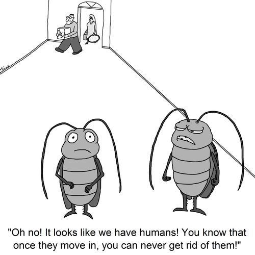 'Oh no! It looks like we have humans! You know that once they move in, you can never get rid of them!'